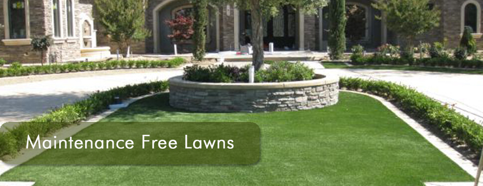 maintenance free lawn