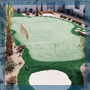 Backyard Putting Green