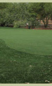 backyard golf greens