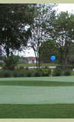 california golf greens