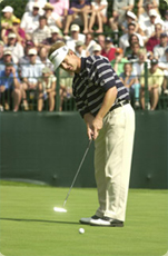 putting green design